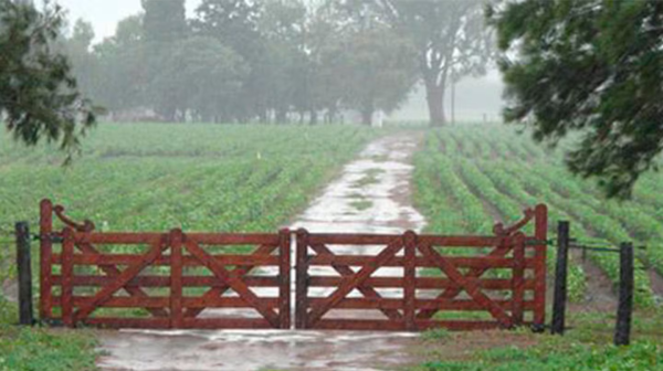 El fen&oacute;meno &ldquo;Ni&ntilde;o&rdquo; no ser&aacute; intenso y prev&eacute;n &ldquo;lluvias normales&rdquo; para el segundo semestre