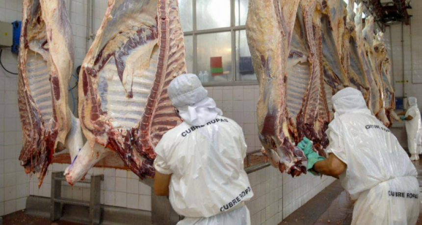 Exportaciones de carne: el Gobierno prohibió por dos años la venta al exterior de siete cortes parrilleros