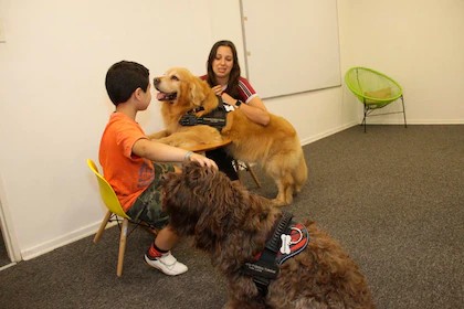 Le levantó la oreja y se animó a contar lo que había vivido: Brownie, Donna y el rol de los perros de terapia para asistencia judicial