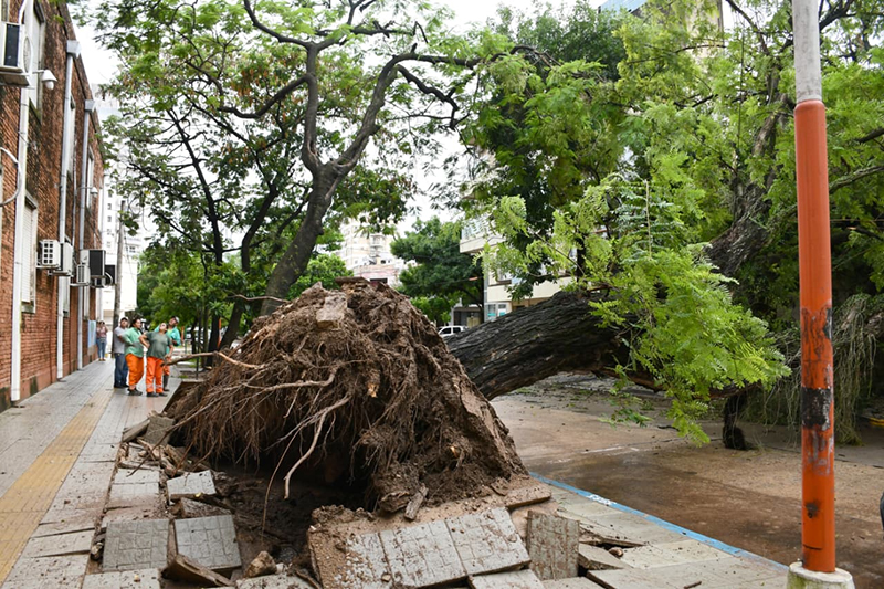 Despliegue de agentes municipales tras la tormenta