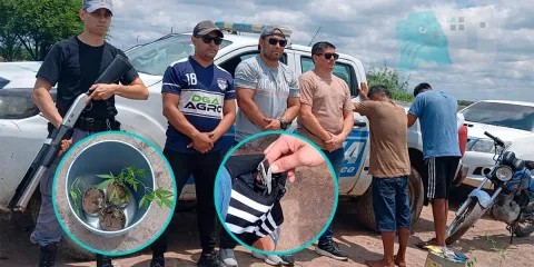 Detuvieron a dos hombres que intentaban plantar marihuana en campos de San Bernardo