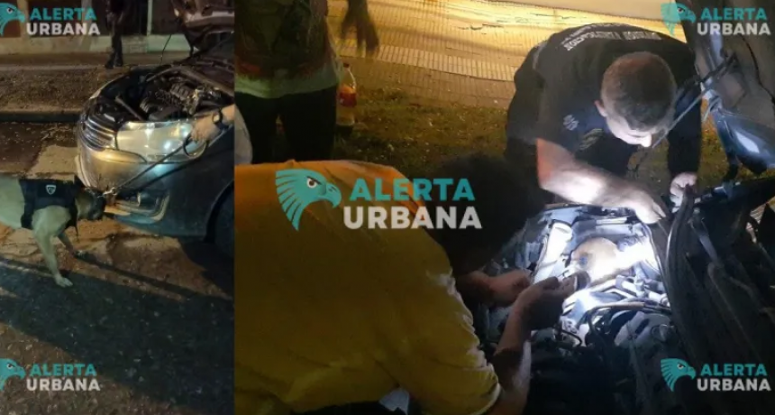 Recuperaron en S&aacute;enz Pe&ntilde;a un autom&oacute;vil robado en Buenos Aires