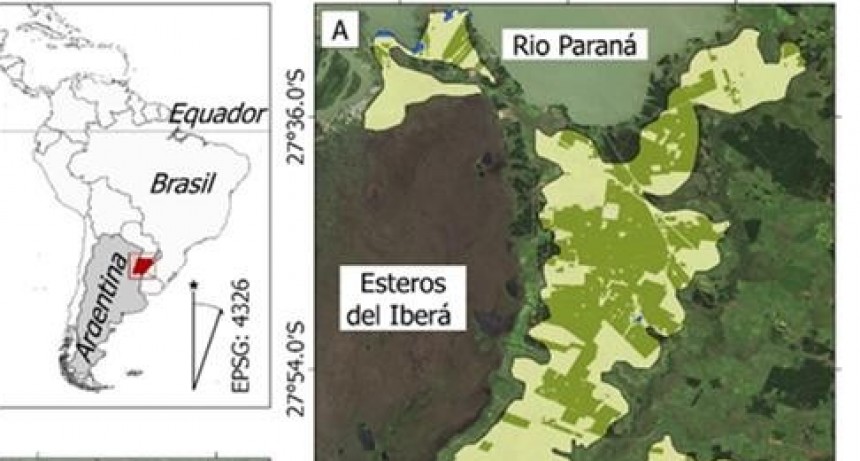 Investig&oacute; sobre los malezales de Corrientes para su tesis de graduaci&oacute;n y recibi&oacute; reconocimiento de regreso a su pa&iacute;s