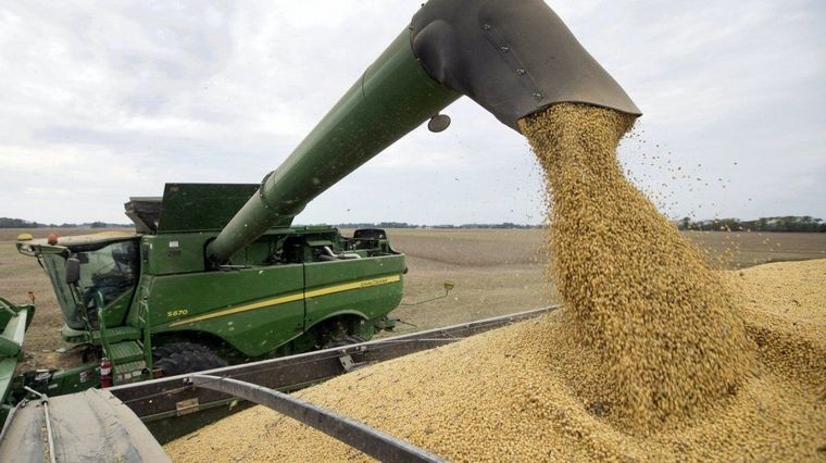 La soja imparable: supera los US$ 600 por el conflicto Rusia-Ucrania