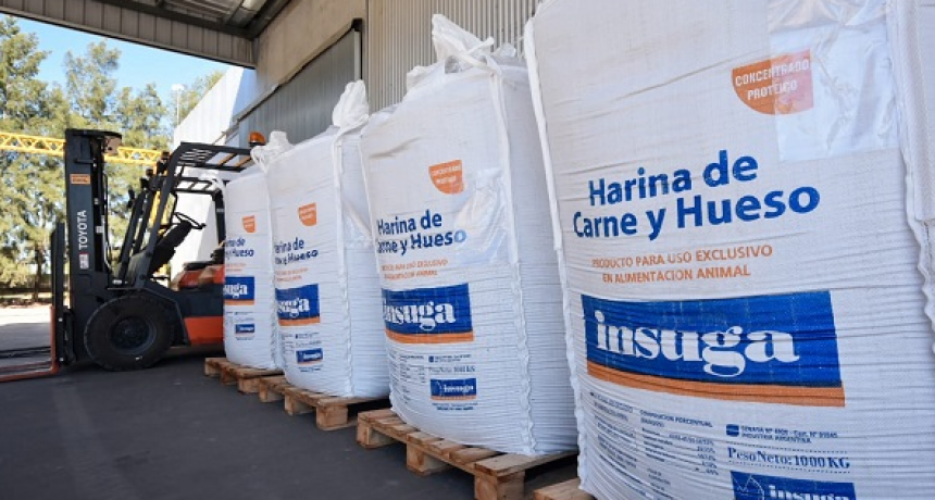 Hugo Sager valoró las exportaciones desde Puerto Tirol: 