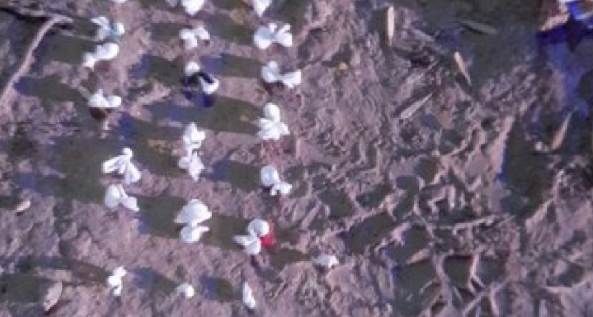 Son 2.541 las personas fallecidas con el diagnóstico de esta enfermedad y en las últimas 24 horas