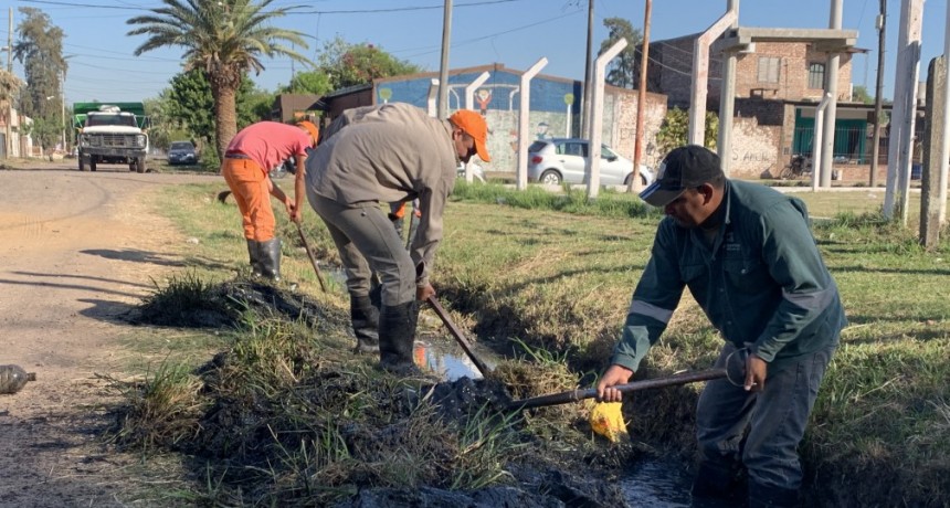 Se sigue avanzando en la limpieza de los barrios