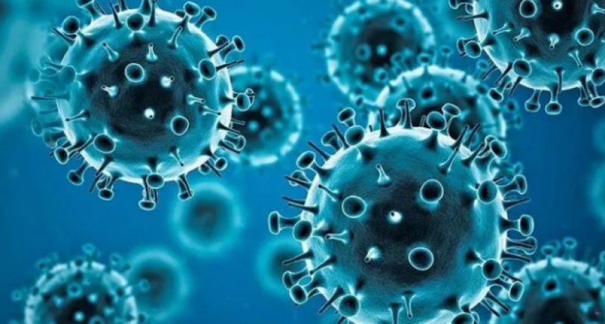 Coronavirus: continúa la tendencia descendente de contagios en las provincias