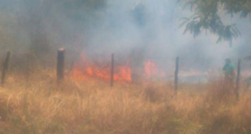 Los incendios no cesan en Corrientes y el humo cubrió Resistencia y sus alrededores