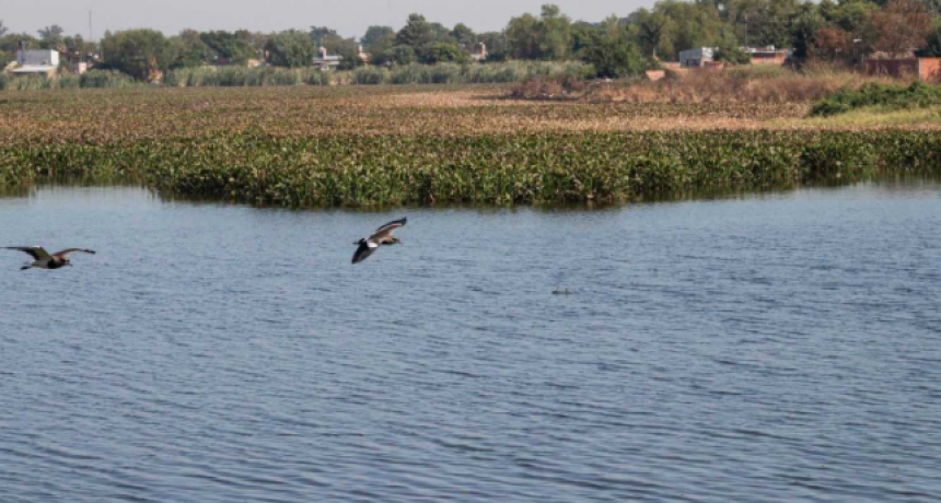 El tiempo para el fin de semana: ¿Cuándo llegan las lluvias?