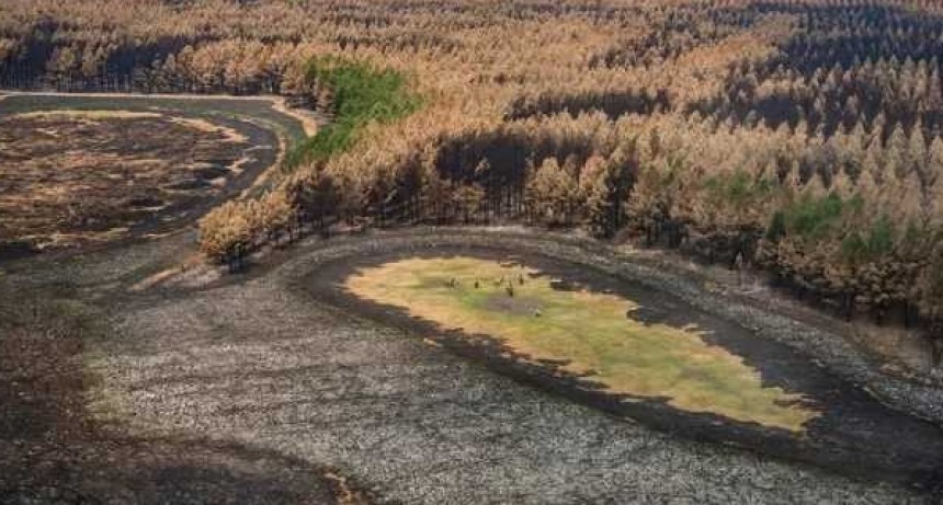 La superficie cubierta por agua en Corrientes estaría por debajo del 10%