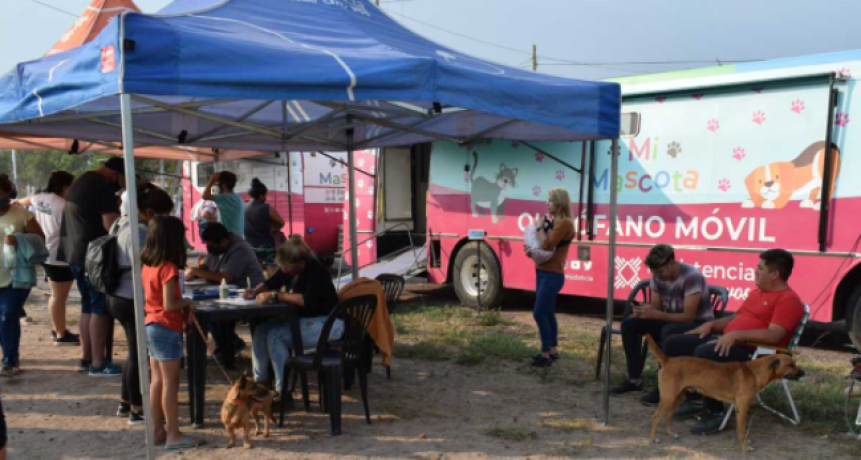 “Mi mascota”: hoy es el último día del operativo de castración gratuita en Villa Facundo de Resistencia
