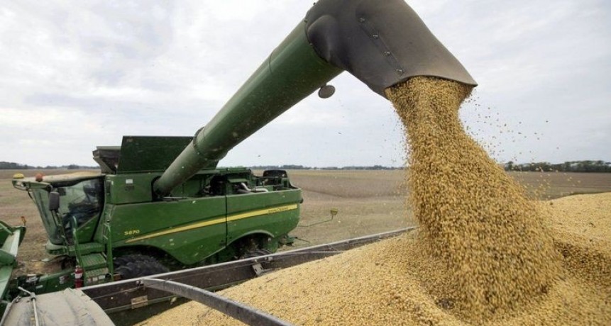 La soja imparable: supera los US$ 600 por el conflicto Rusia-Ucrania