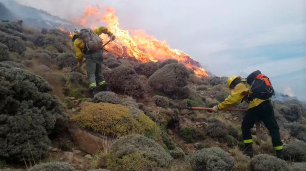 El Gobierno incluyó a Santa Cruz en la emergencia por los incendios forestales