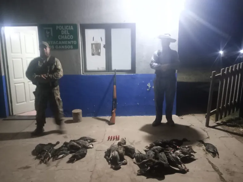 Cazador ilegal sorprendido con 30 patos muertos en Villa Ángela