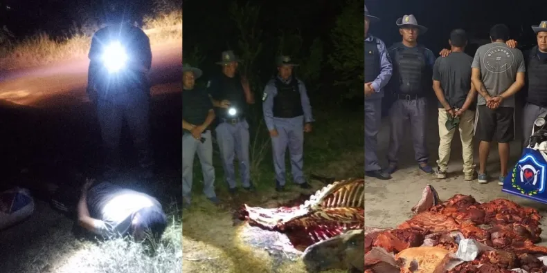 Abigeato en Sáenz Peña: hallan 65 kilos de carne de caballo y detienen a dos sospechosos