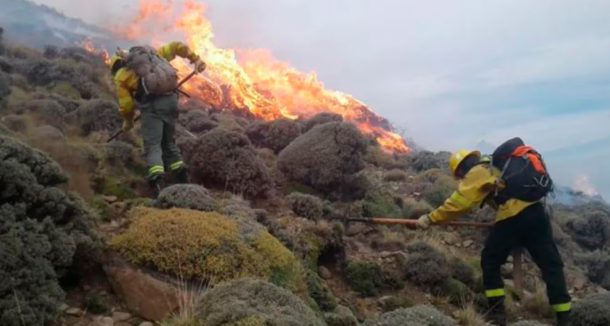 El Gobierno incluyó a Santa Cruz en la emergencia por los incendios forestales
