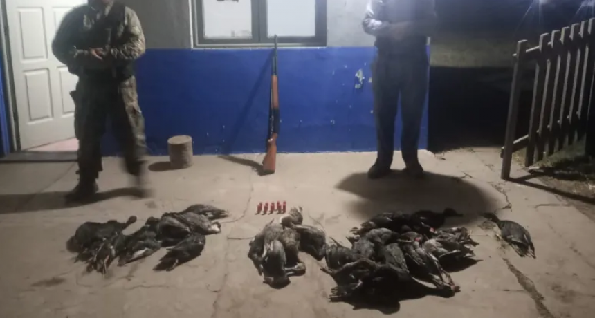Cazador ilegal sorprendido con 30 patos muertos en Villa Ángela