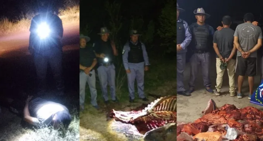 Abigeato en Sáenz Peña: hallan 65 kilos de carne de caballo y detienen a dos sospechosos