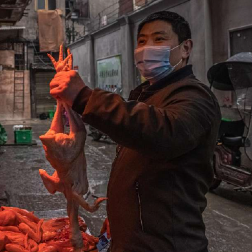 Origen del coronavirus: la OMS dice que comenz&oacute; en una granja de animales ex&oacute;ticos de China