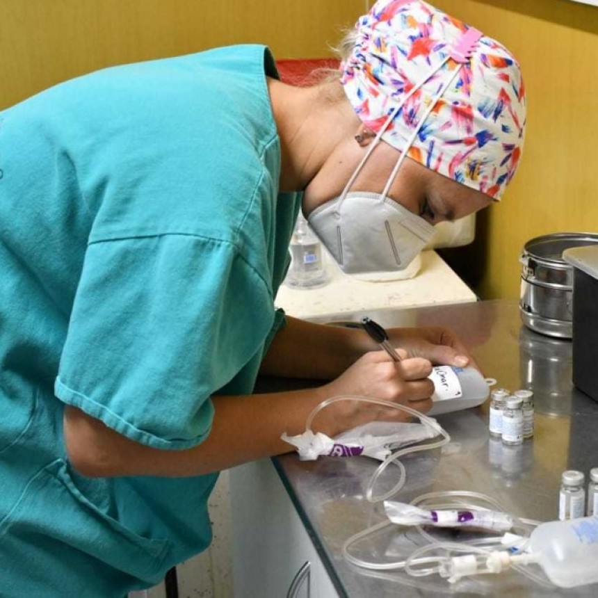 En Chaco, 50 pacientes COVID-19 recibieron tratamiento con suero hiperinmune equino