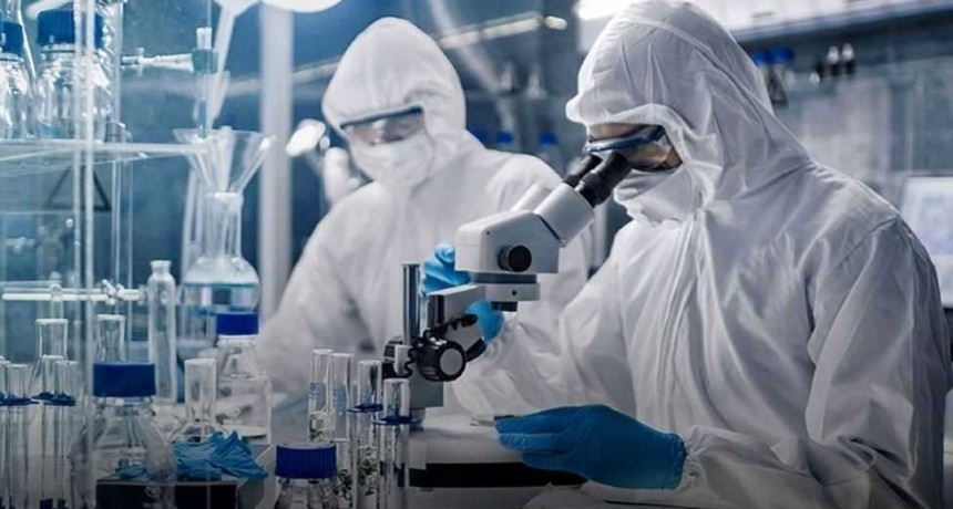 Detectaron en Corrientes una nueva cepa proveniente de Brasil