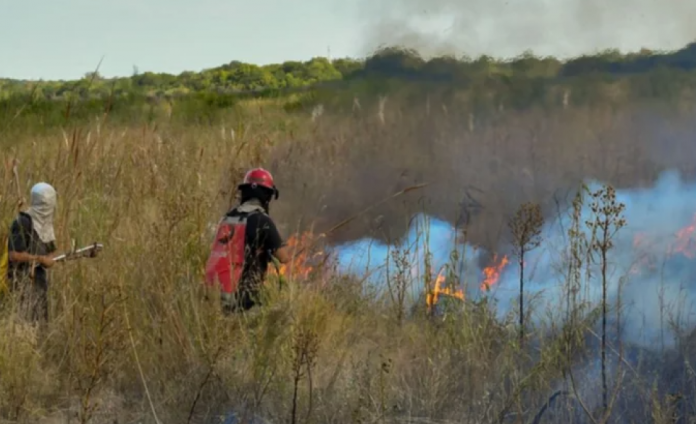 Un rebrote de incendios avanza por los Esteros del Iberá