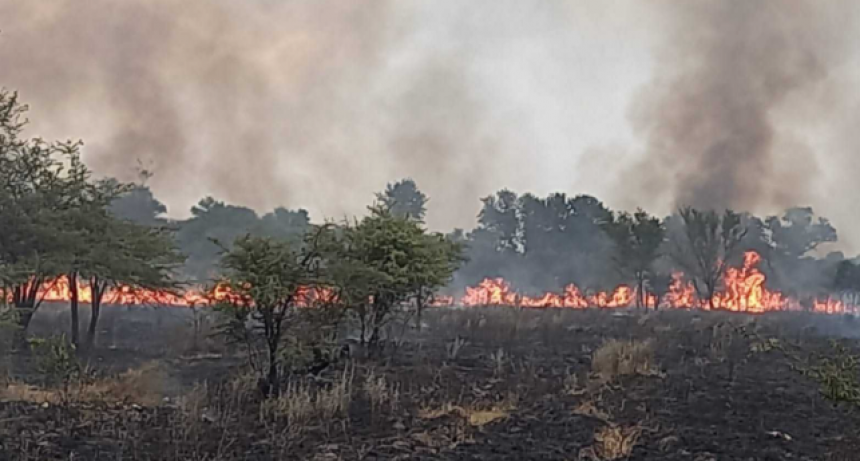 Las provincias de Corrientes y Río Negro registran focos activos de incendios forestales