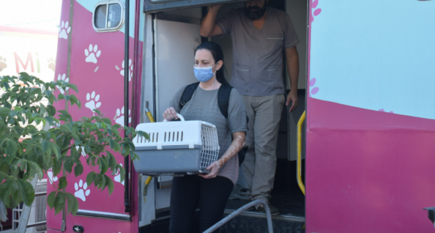 La castración gratuita de mascotas pasó por el barrio Cosecha y este jueves llega al Palermo II de Resistencia