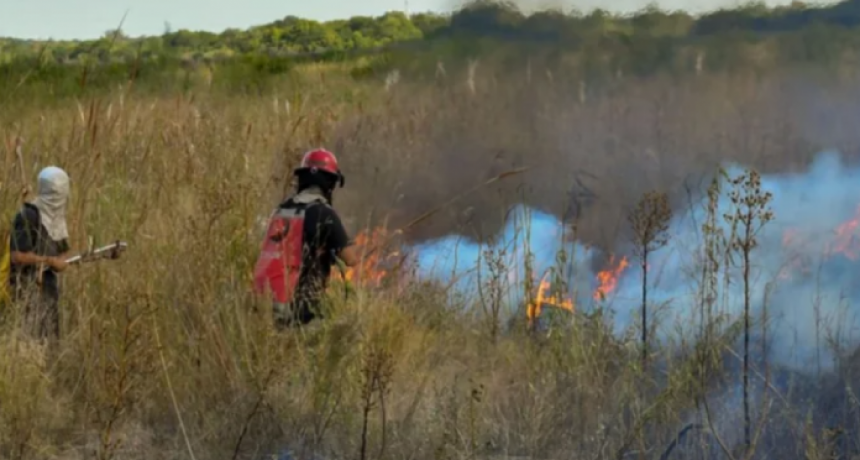 Un rebrote de incendios avanza por los Esteros del Iberá