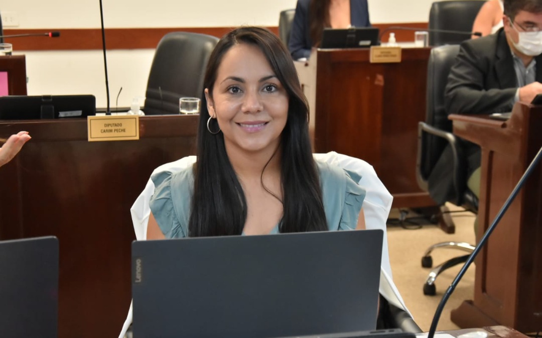 Legislatura: buscan establecer una guía de acompañamiento para la atención de duelos perinatales y neonatales