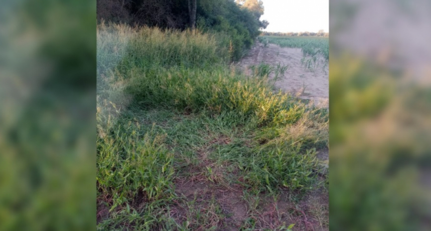 Dos hombres drogaron, secuestraron y violaron a una menor en Los Frentones