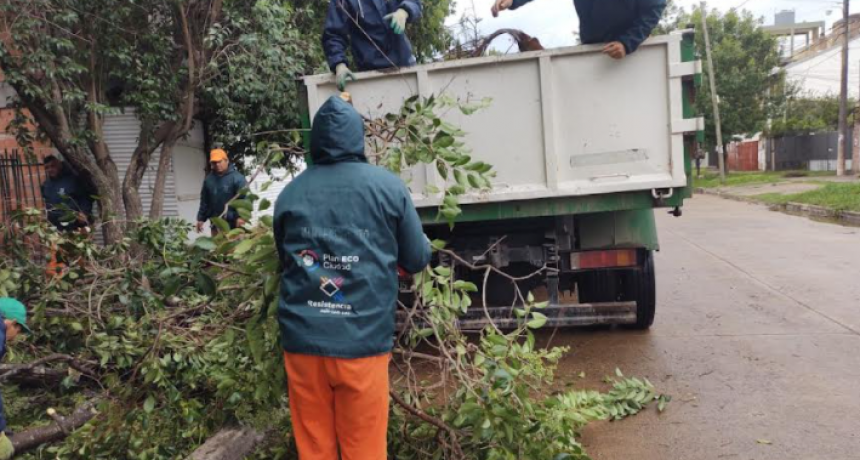 Resistencia sin mayores inconvenientes por el fuerte temporal de lluvia y viento que azotó la ciudad