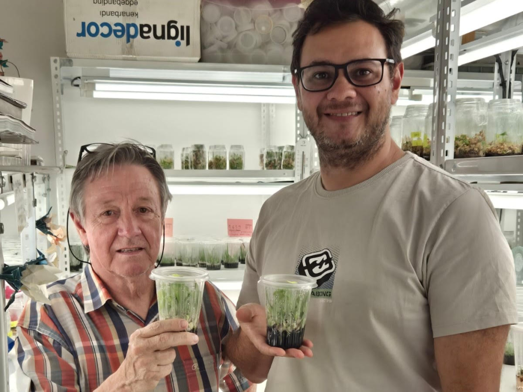 Identifican una orqu&iacute;dea terrestre de distribuci&oacute;n restringida en Corriente