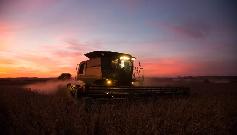 7 de marzo, &iquest;porqu&eacute; se celebra el D&iacute;a del Campo?