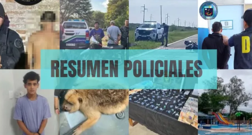 Fin de semana de impacto en el Chaco: capturan a un presunto violador, desbaratan kioscos de droga y caen dos peligrosos delincuentes 