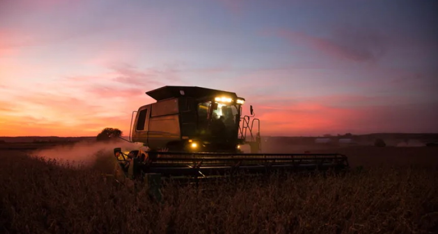 7 de marzo, &iquest;porqu&eacute; se celebra el D&iacute;a del Campo?