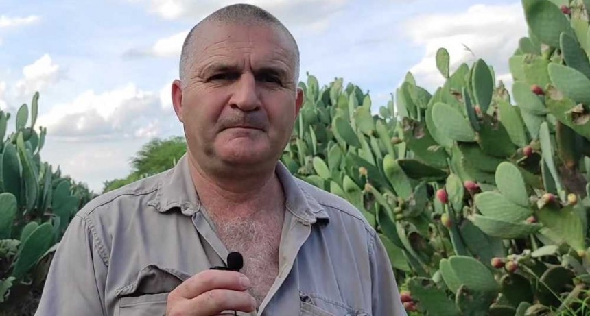Apasionado de las tunas: productor de Los Frentones cultiva 75 variedades en su campo