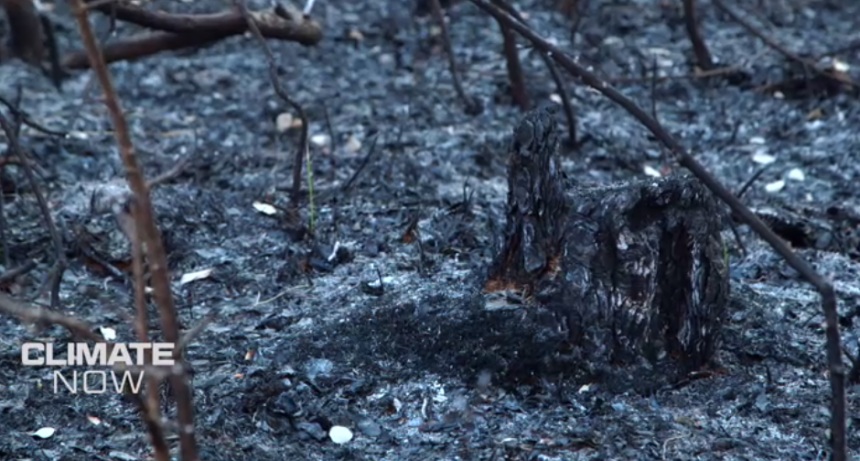 Tecnolog&iacute;a y datos para luchar contra incendios forestales en Espa&ntilde;a