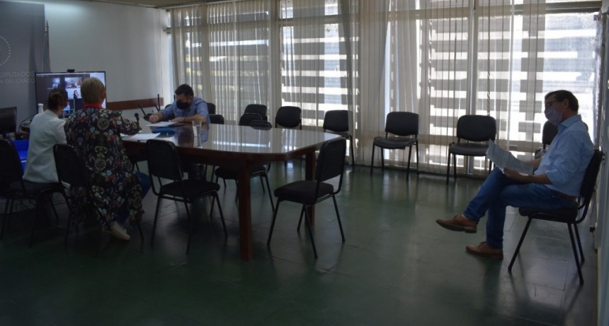 Diputados aconsejan la creaci&oacute;n del &ldquo;Programa Provincial de Esclerosis M&uacute;ltiple&rdquo;
