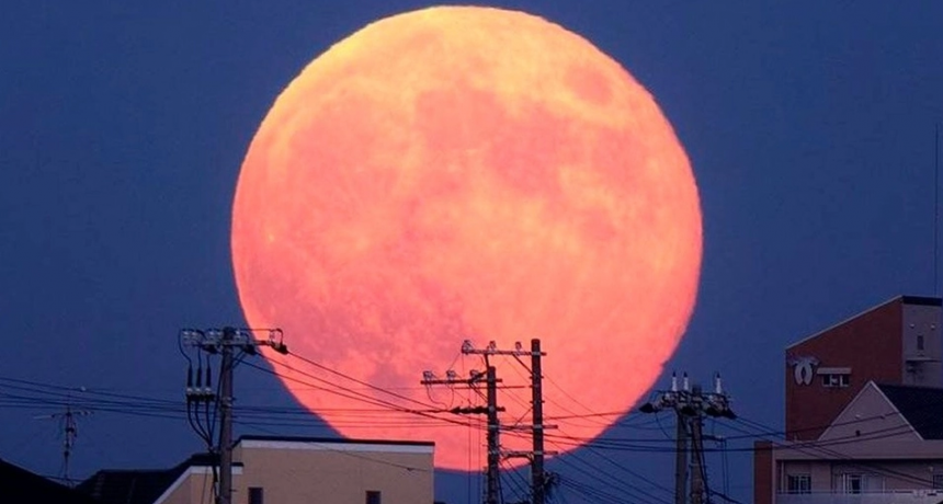 Superluna rosa: d&oacute;nde y c&oacute;mo ver la luna llena de abril 2021
