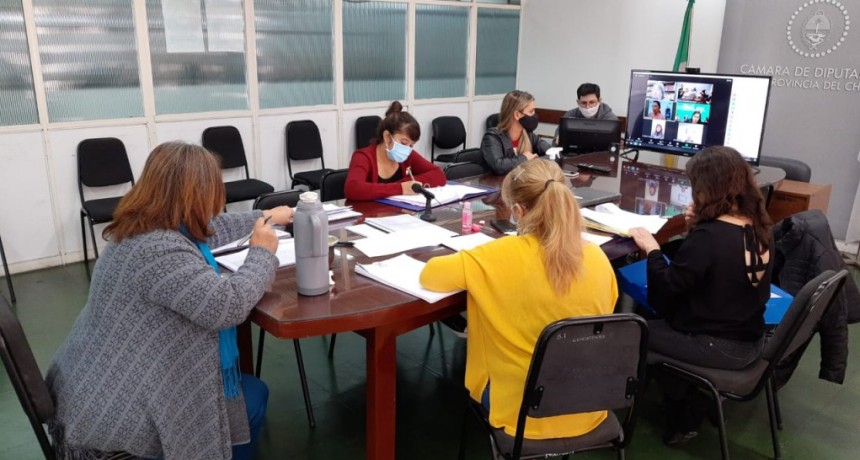 Dictamen favorable para declarar Patrimonio Cultural Viviente a la artesana Santa Pino Fern&aacute;ndez