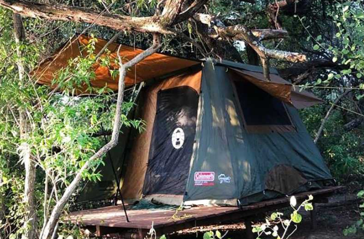 Se habilitó el nuevo camping gratuito en el Parque Nacional El Impenetrable