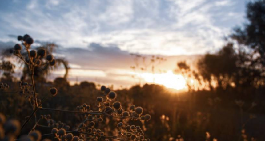 El fin de semana inició soleado pero hay pronóstico de tormentas desde la tarde y durante todo el domingo