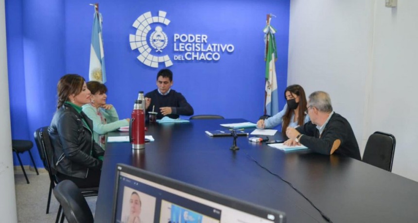 La diputada Jessica Ayala encabezará la Comisión de Recursos Naturales y Ambiente