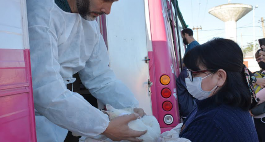 Con otra gran convocatoria, finalizó la castración gratuita de mascotas en Villa Marín