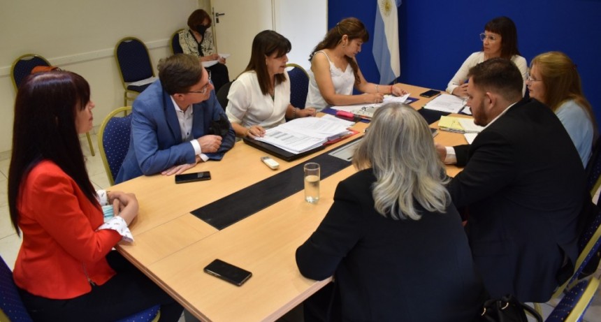 La Comisión de Educación trató proyectos en beneficio de la ciudad de Charata