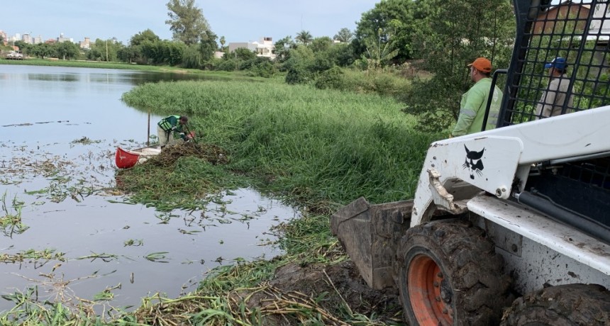 Se realizaron trabajos de saneamiento en la Laguna Francia en Resistencia