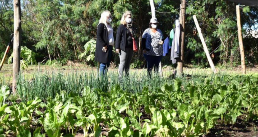 La Municipalidad de Fontana contin&uacute;a apoyando a los peque&ntilde;os productores