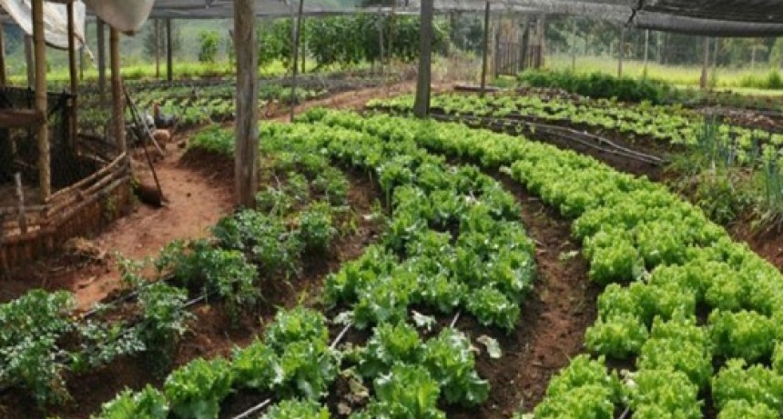 Tercer encuentro del Seminario Agroecolog&iacute;a para el Chaco Austral 2021